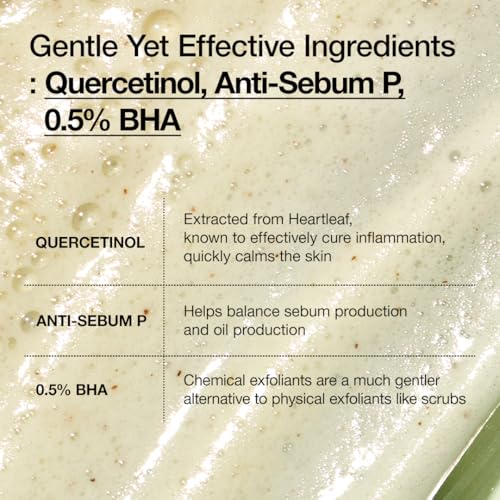 ANUA Heartleaf Quercetinol Pore Deep Cleansing Foam, Facial Cleanser, for Double Cleansing, BHA, Hyaluronic Acid, Glycerin, Face Wash, Blackhead Remover, Korean Skincare...